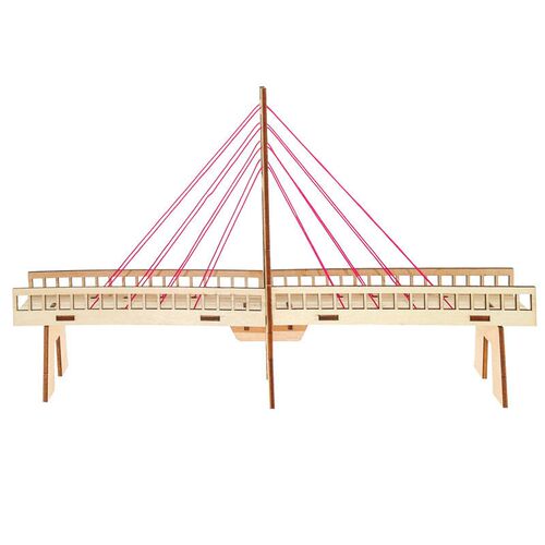 DIY Wisdom Bridge Student Science Education Scientific