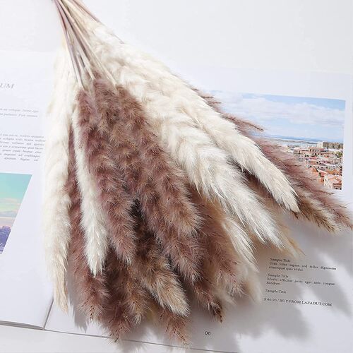 100pcs Room decor dried flower bouquet pampas grass Bohemian