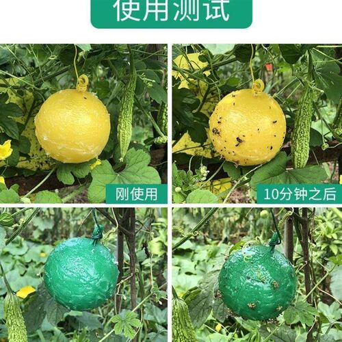 1-5pcs Gnat Traps Flying Insects Traps Ball Fruit Fly
