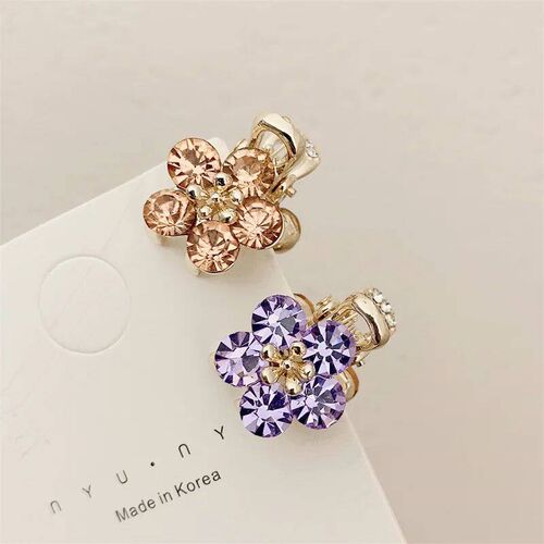 Small Bangs Catch Clip 2021 New Crystal Flower Side Hairpin