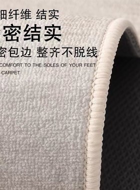 法尔曼绒客厅地毯客厅沙发毯耐脏易打理茶几毯卧室毯可水洗大地垫
