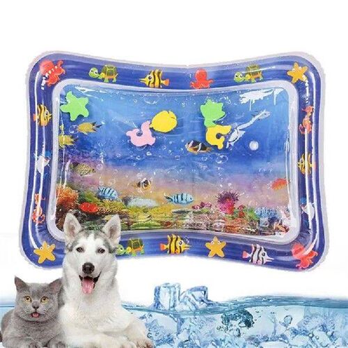 Kids Water Play Mat Thickened Inflatable Water Mat For Cat