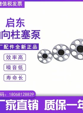 10..32..3..100.10.0CY柱塞泵配件.轴向柱塞泵回程票