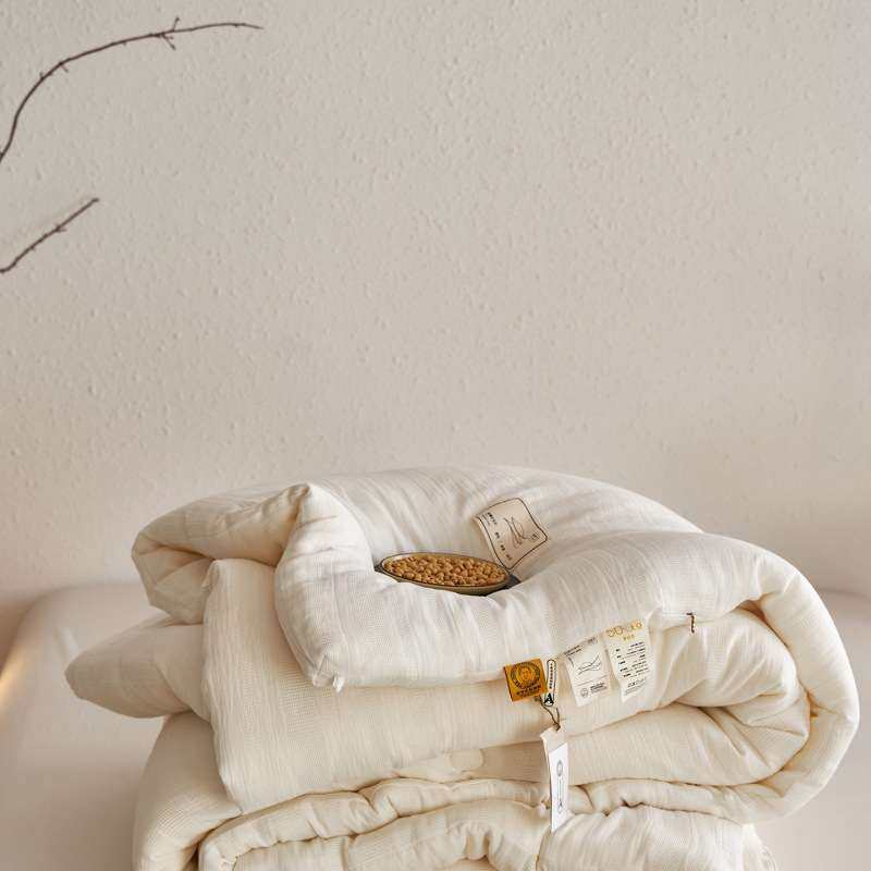 2025新款A类水洗全棉双层纱提花李官奇50%大豆被被子被芯现货,3C数码配件,其它配件,淘宝优惠券,粉丝福利购,淘宝优惠卷