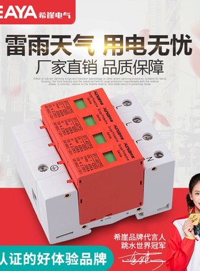 希崖浪涌保护器 4p 避雷器380v 防雷器 20ka-40ka家用电涌保护器