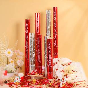 高档礼炮星河璀璨礼花筒手持礼炮结婚迎亲礼花筒亮片礼花筒