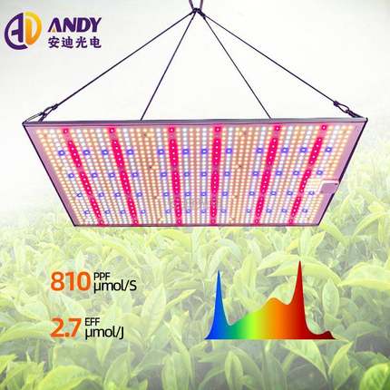量子板植物补光灯100W 200W 300W仿太阳全光谱花卉led植物生长灯