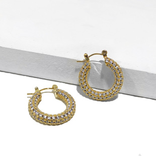 Stainless Ear Classic Circle Zircon Hoop Crystal Round Steel