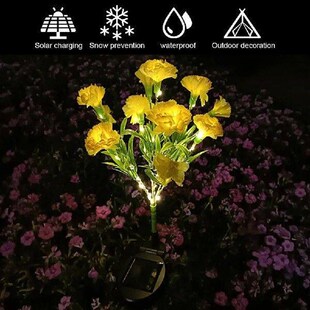 Carnation Solar Garden Lights Solar Outdoor Garden Lights