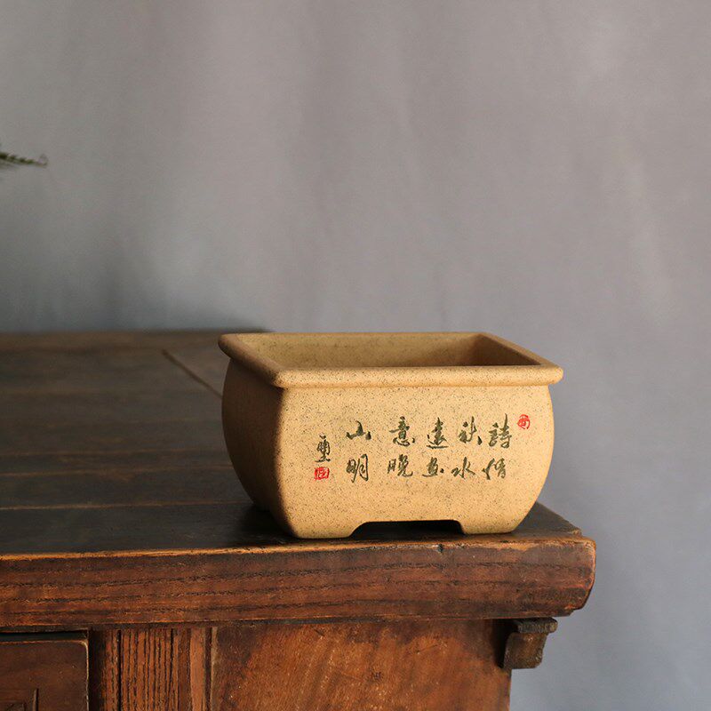 宜兴紫砂花盆手工刻绘长方小马槽文竹多肉菖蒲造景小号桌面绿植盆