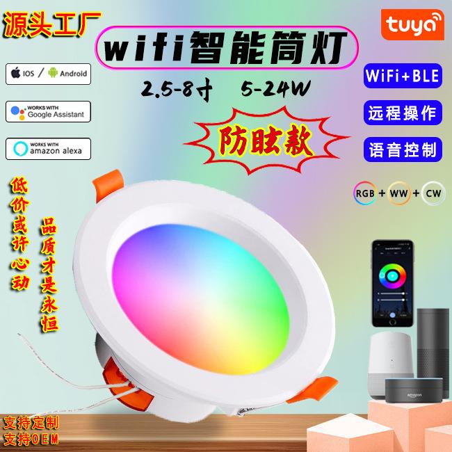 厂家直供跨境爆款调光调色语音控制涂鸦WiFi+蓝牙防眩智能筒灯