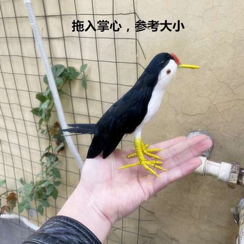 新款仿真白面水鸡手工艺饰品教学演示道具橱窗美陈场景装饰小摆件