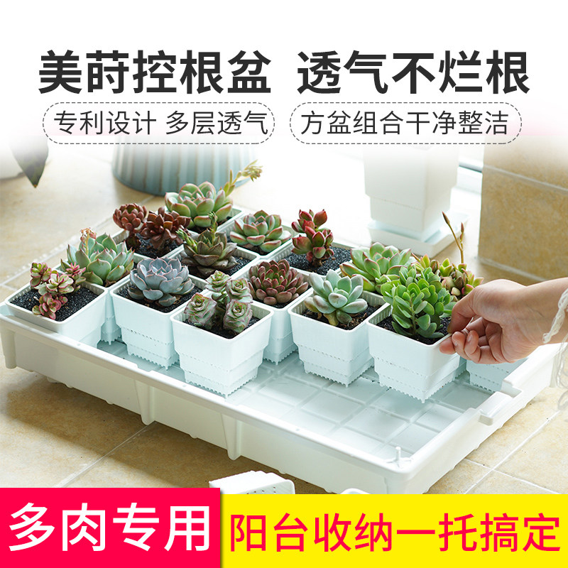美莳多肉花盆控根盆控根花盆套餐组合透气塑料树脂花盆托盘可排水