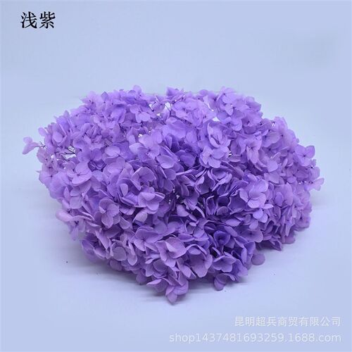 [eternal Flower Hydrangea] Anna Gradient Color Small Leaf Hy