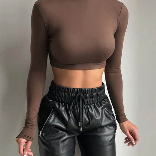 Basic Sheath Women Solid Turtleneck Tshirt Autumn Stretch