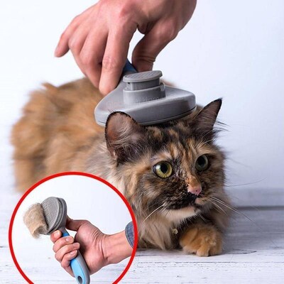 Pet Comb Xiomi Pet Hair Removal Bru Comb Pet Grooming
