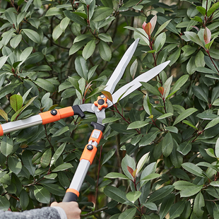 藤原修枝剪长杆可伸缩园艺绿篱剪粗树枝剪园林省力大剪刀绿化工具