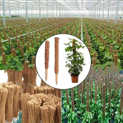 Plant Climbing Coir Totem Pole Safe Gardening Coconut  Stick