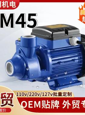 外贸pm45旋涡泵水泵高扬程大流量220v/110vPM45Waterpump
