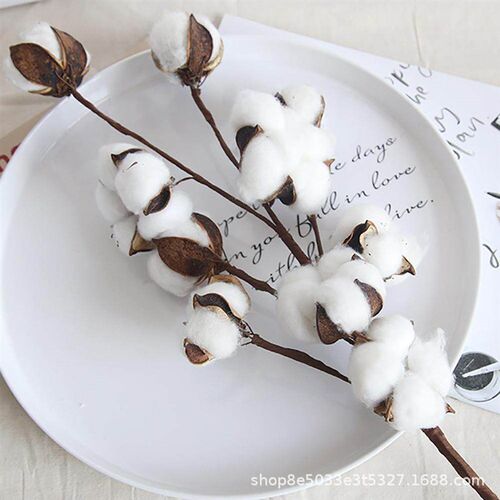 Simulation Flower Cotton Natural Dried Flowers Wedding Home