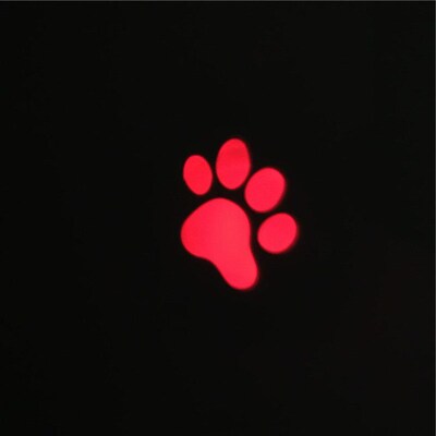 Funny Pet LED Laser Toy Cat Laser Toy Cat Pointer Light Pen