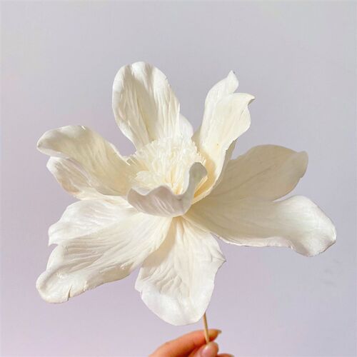 Plant Handmade Flower Flower Home Decoration Dried Flower Fl