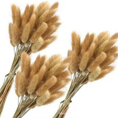 Reed Set Dried Flower Bouquet Nordic Style Decorative Orname
