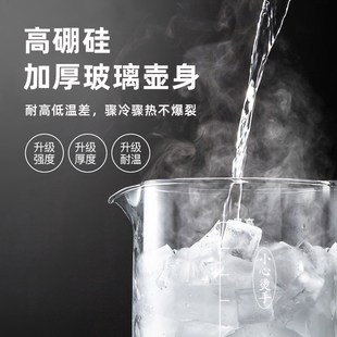 雅乐思 Rnice 养生壶全自动玻璃家用花茶壶 YLS-Y11