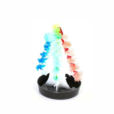 Science Experiment Educational Teaching Paper ree Flowering