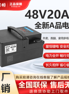 星恒48v20ah锂电池雅迪两轮电动车专用锂电池全新正品原装电瓶