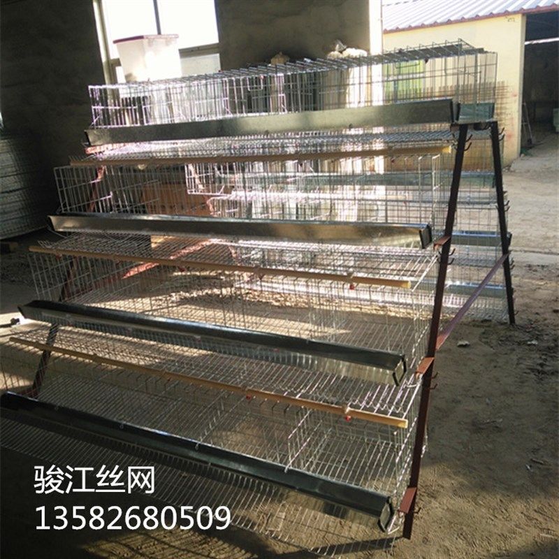 优质蛋鸡笼养殖场专用笼鸡笼子阶梯式蛋鸡笼养鸡设备养殖鸡笼全,畜牧/养殖物资,畜牧/养殖器械,淘宝优惠券,粉丝福利购,淘宝优惠卷