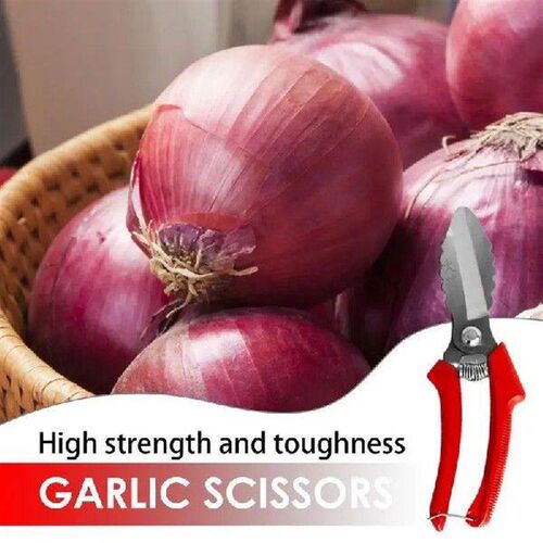Food Scissors Multifunctional Kitchen Cutter Scissors