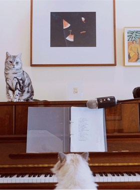 弹吉他的女孩 马蒂斯的闲情 惬意音乐 旁白VoiceOver装饰画挂画