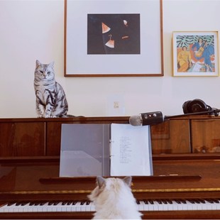 弹吉他的女孩 马蒂斯的闲情 惬意音乐 旁白VoiceOver装饰画挂画