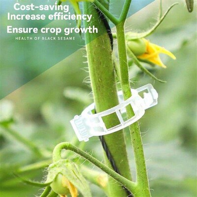 Plant Vegetable Supporting Clips Simple Operation Plants