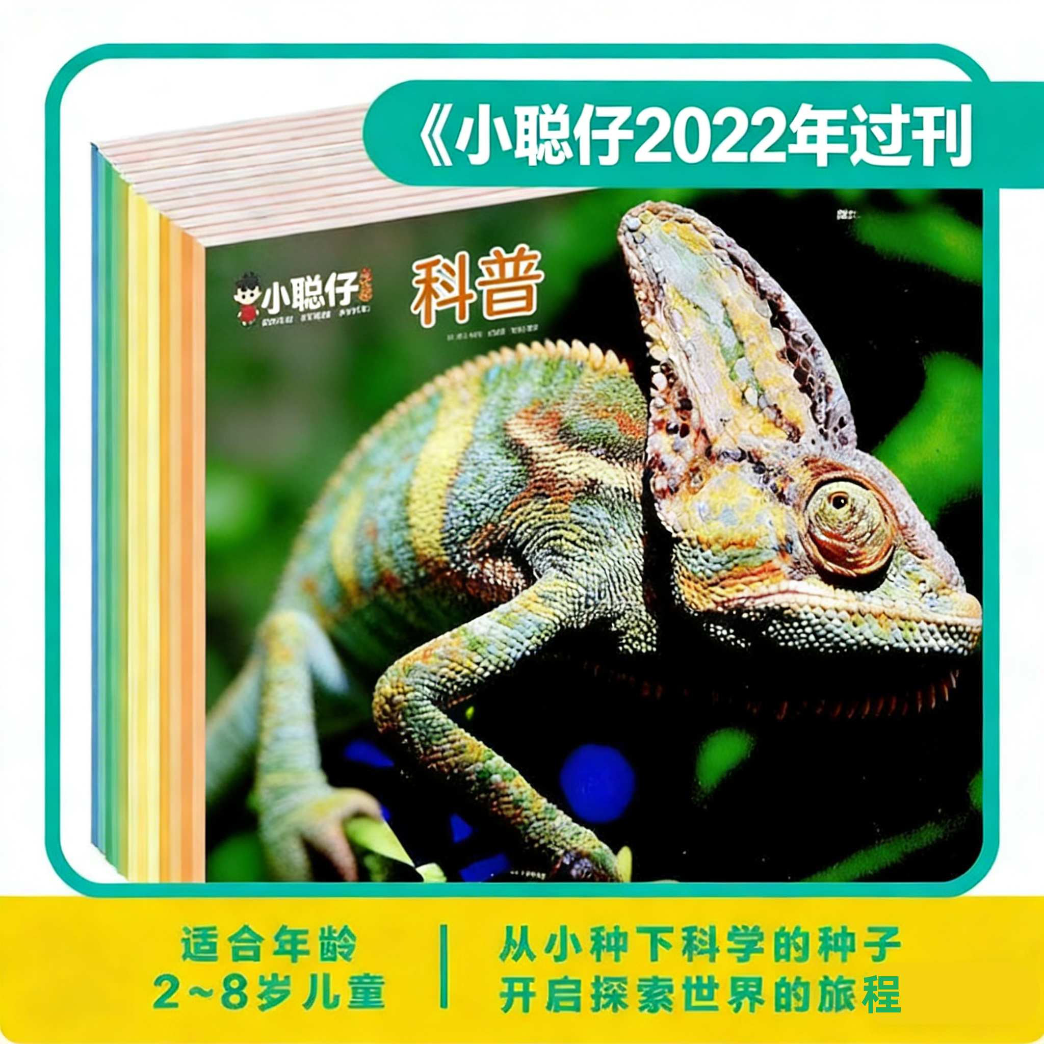 小聪仔科普版2022年 1-12月全新过刊2-8岁宝宝科普知识自然认知 接力出版社0-4-8岁宝宝儿童娃娃画报科普百科自然探索幼儿绘本