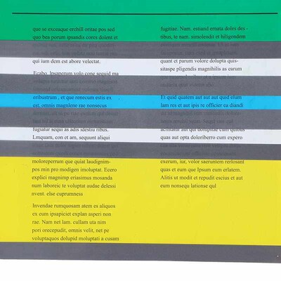 12 Pcs Guided Reading Highlight Strips Overlay Bookmarks for