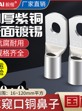 国标级加厚冷压窥口鼻SC///10/-8平方镀锡铜线鼻子接线端