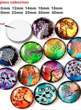 sand beach turtle anchor Round photo glass cabochon demo fla