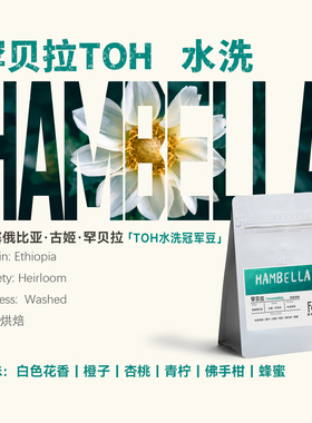 埃塞俄比亚古姬罕贝拉 TOH水洗冠军豆新鲜现烘轻度烘焙手冲咖啡豆