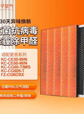 适配夏普空气净化器过滤网KC-CE0-W/N/KC-CG0-T/M/S过滤芯集尘