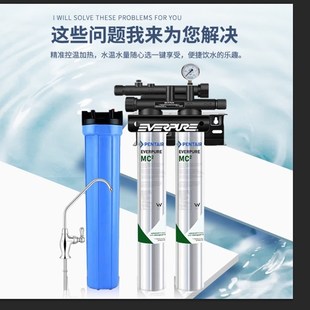 爱惠浦MC2联净水器奶茶店直饮水商用大流量过滤净水机