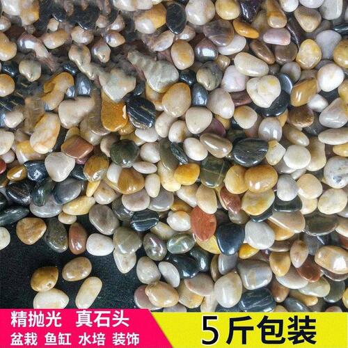 Colored pebbles small stone flowerpot ornament stone rice