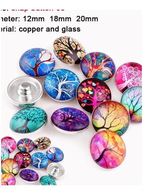 sand beach turtle anchor Round photo glass cabochon demo fla