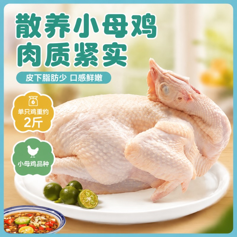 海蓝厨房正宗海南文昌土鸡盐焗鸡整只手撕免加热即食真空熟食特产图片