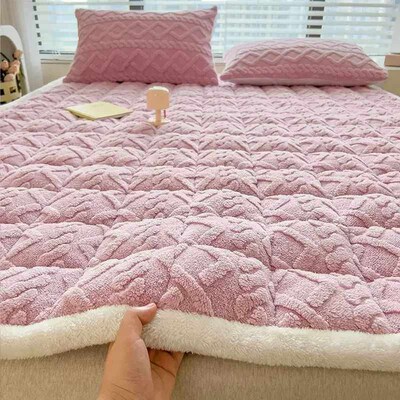 Winter Soft Fleece Maress Toppers Home Dormitory Single Doub