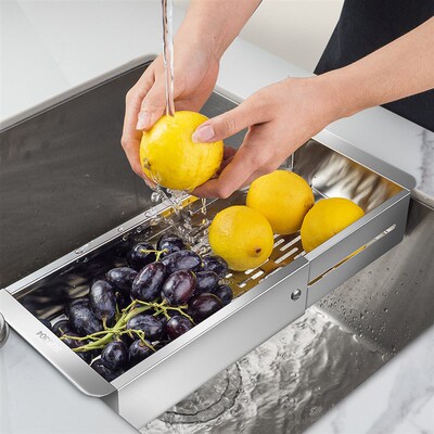 Spot 304 Stainless Steel Kitchen Sink Drain Basket Retracle