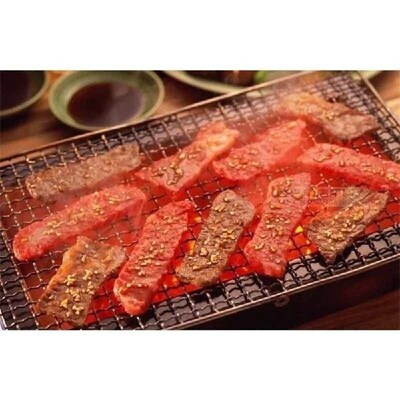 barbecue BBQ parrilla de barbacoa grille net inox mangal