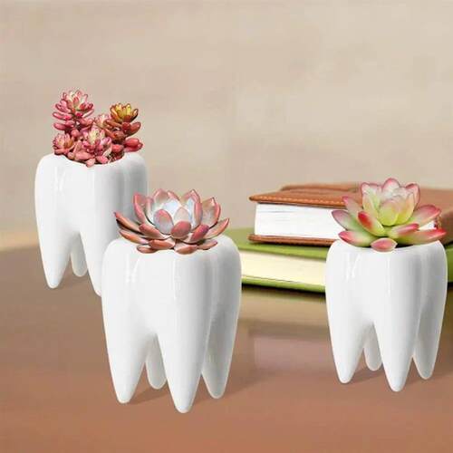 1Pcs Tooth Shaped Tabletop Ceramic Flowerpot Home Furnishing