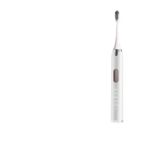 Electric Toothbrush for Men and Women, Adult Home-use Rechar